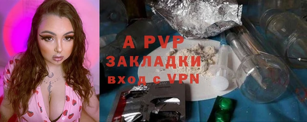 стафф Беломорск