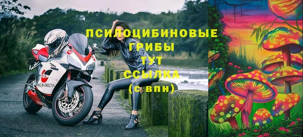 молекула духа Белоозёрский