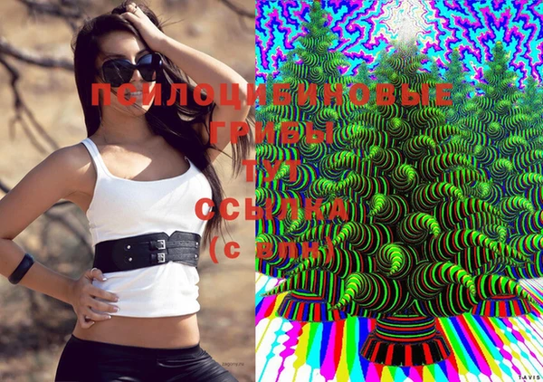 молекула духа Белоозёрский