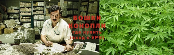 молекула духа Белоозёрский