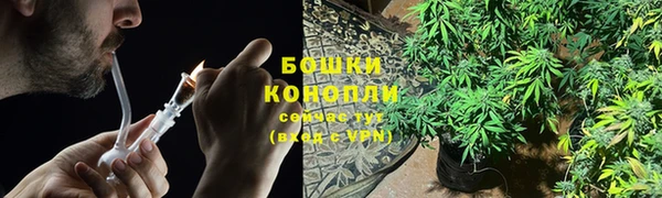 молекула духа Белоозёрский