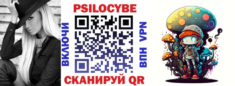 что такое   Астрахань  Псилоцибиновые грибы Psilocybine cubensis 